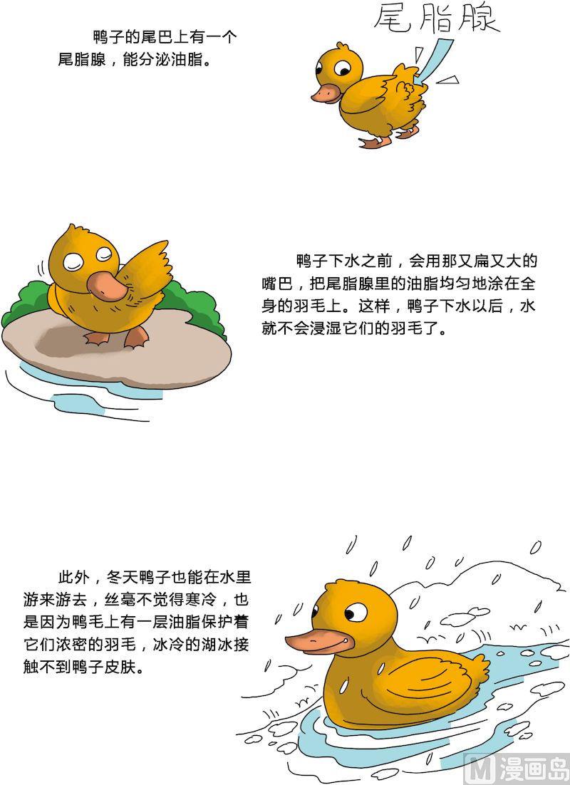 《十万个为什么第一部》08 第7页