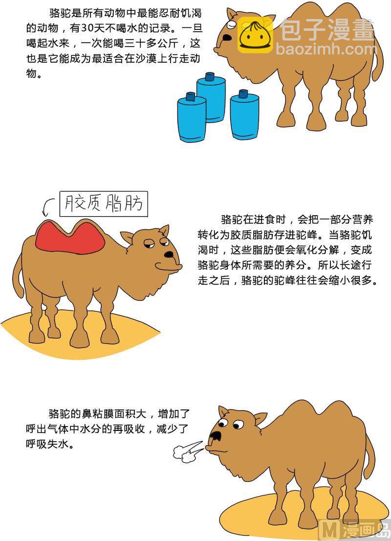 《十万个为什么第一部》10 第7页