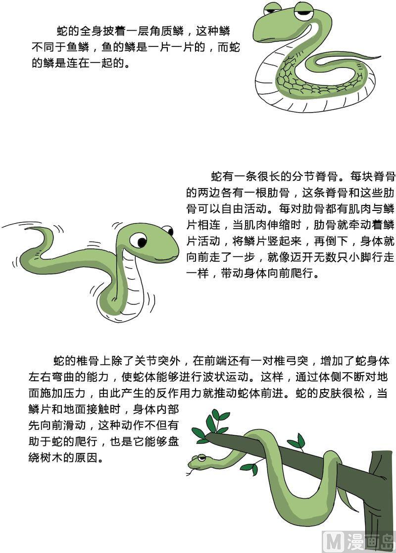 《十万个为什么第一部》12 第7页