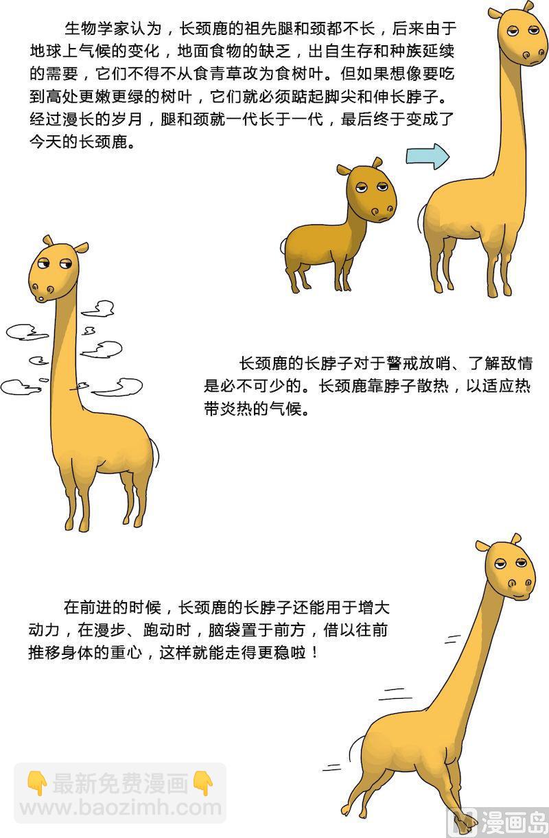 《十万个为什么第一部》11 第3页