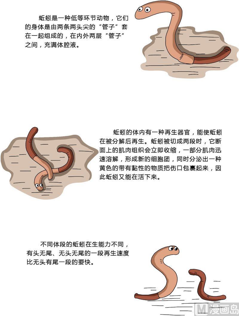 《十万个为什么第一部》13 第3页