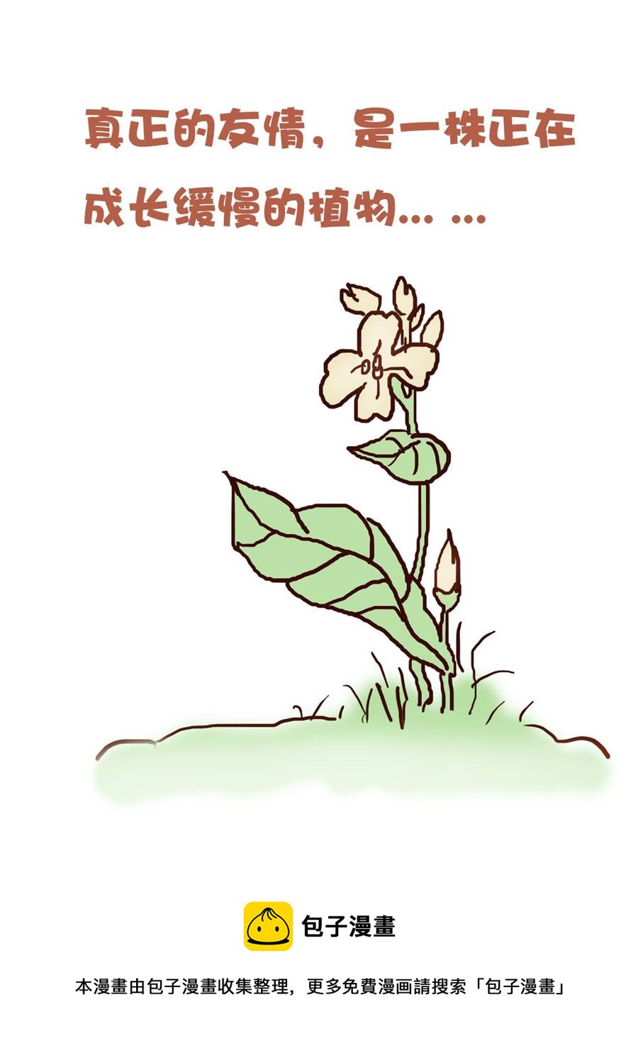 《花又开好了》花又开好了 第6集 第17页