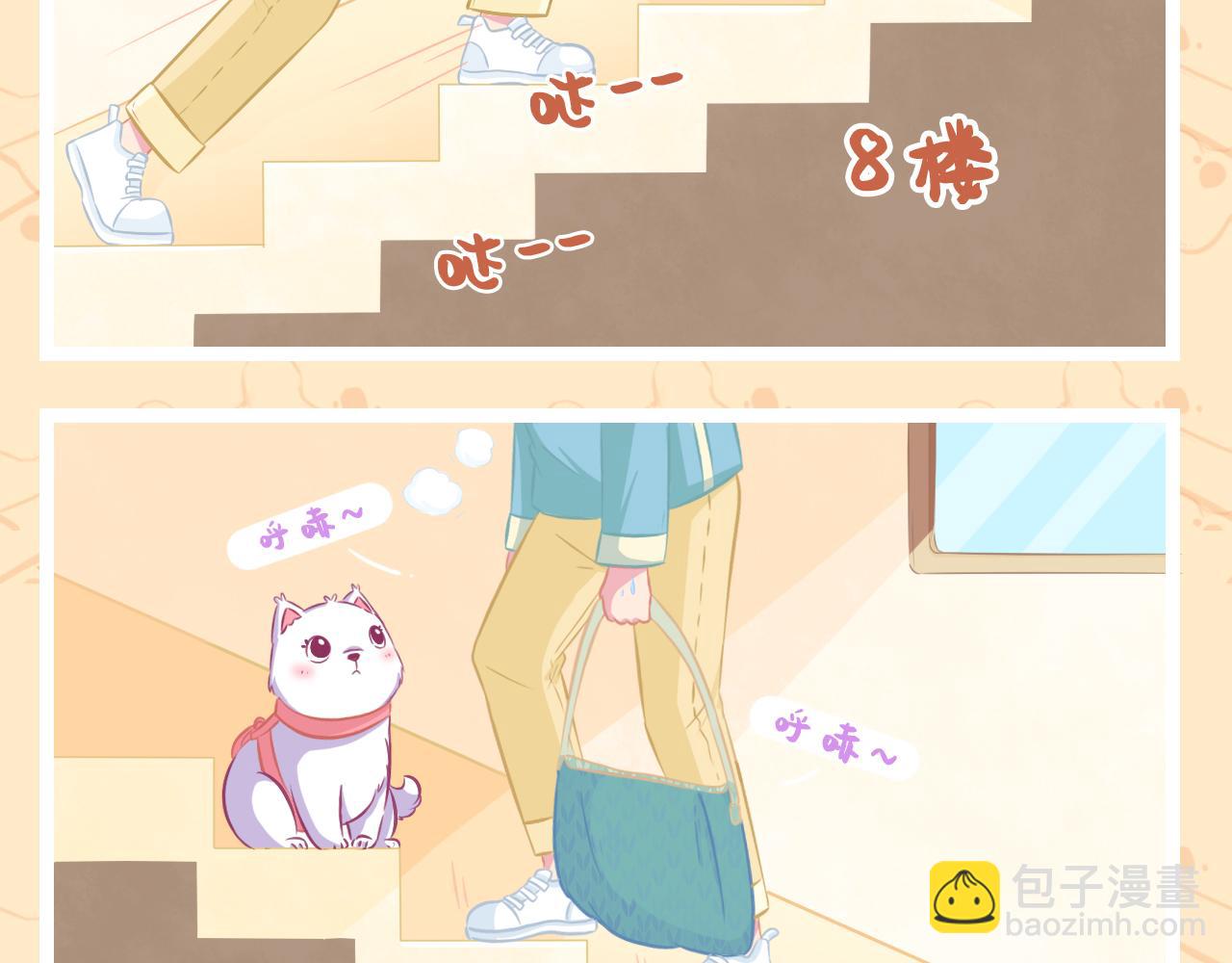 《此处禁止卖萌》第四集--擦肩而过的时候 第12页