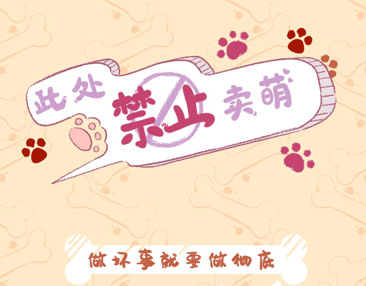 《此处禁止卖萌》第二集--精力过剩是烦恼 第1页