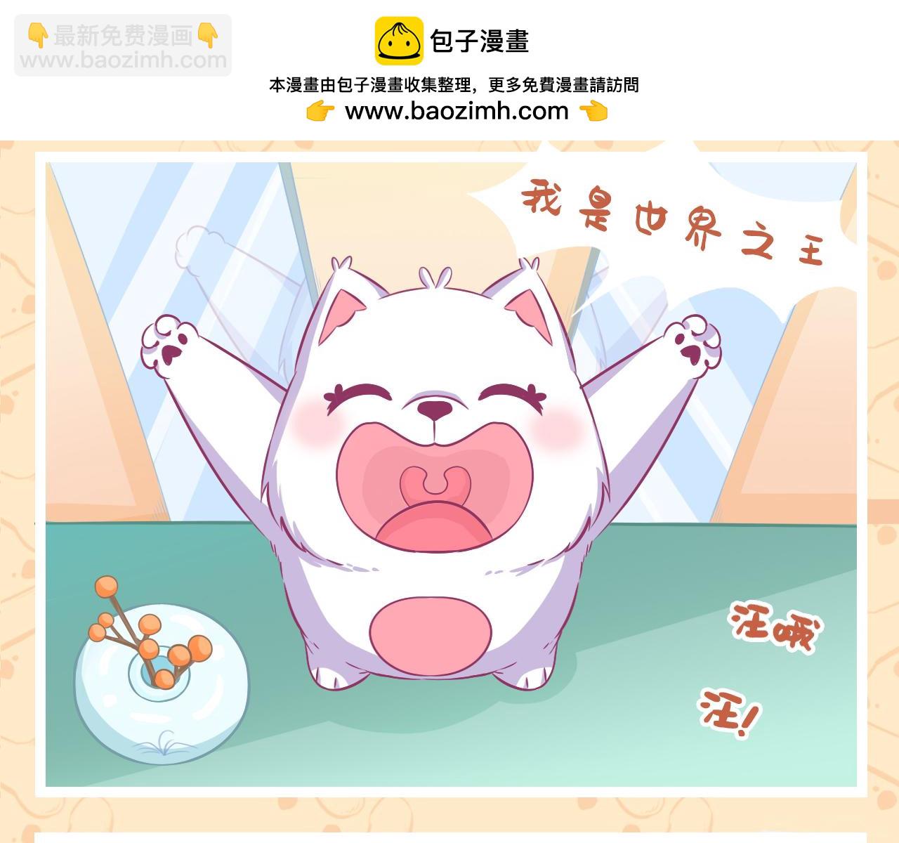 《此处禁止卖萌》第二集--精力过剩是烦恼 第2页
