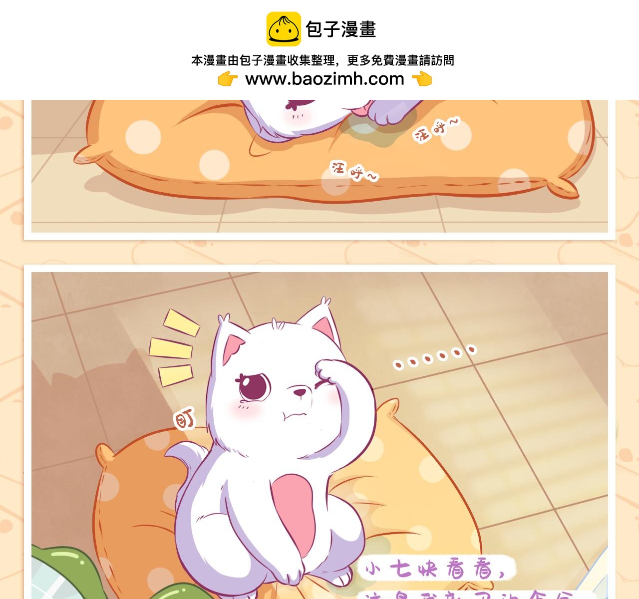 《此处禁止卖萌》小七初来乍到 第12页