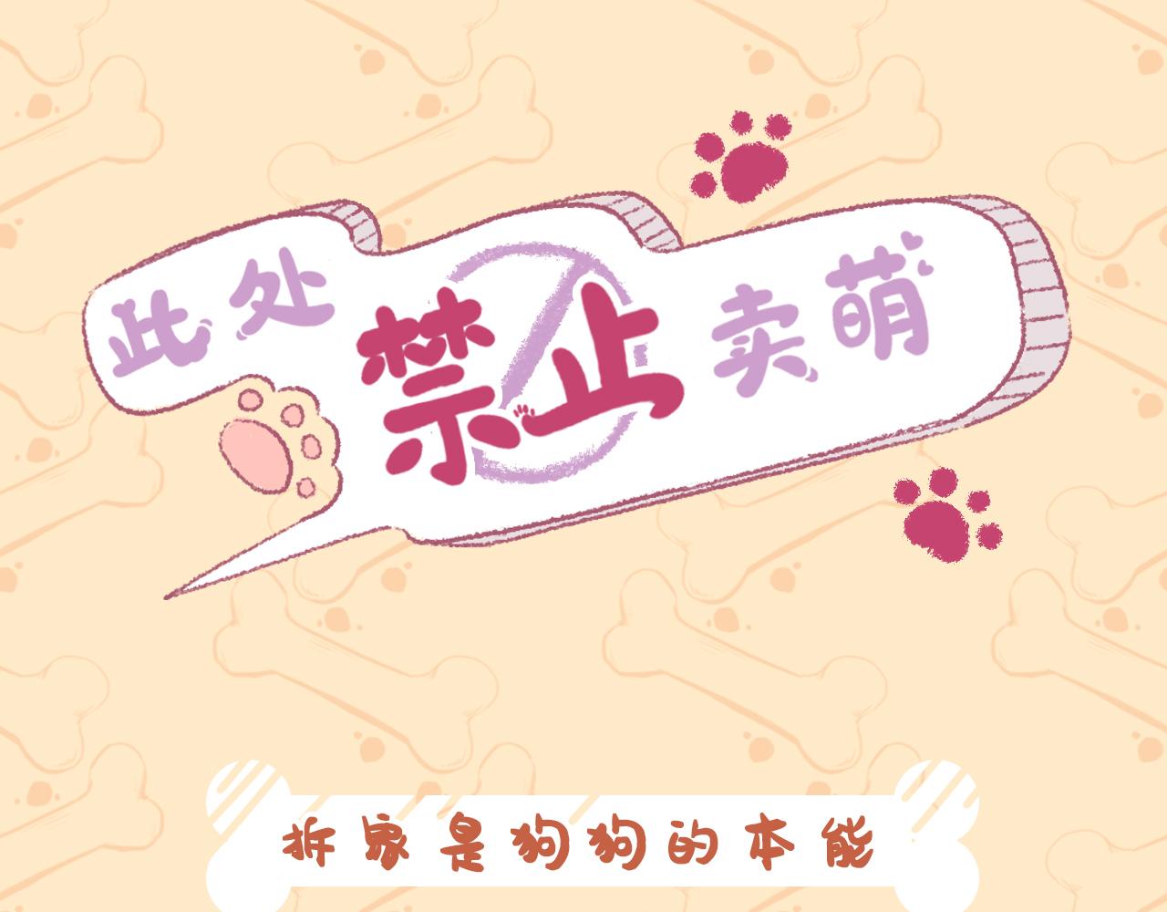《此处禁止卖萌》小七初来乍到 第1页