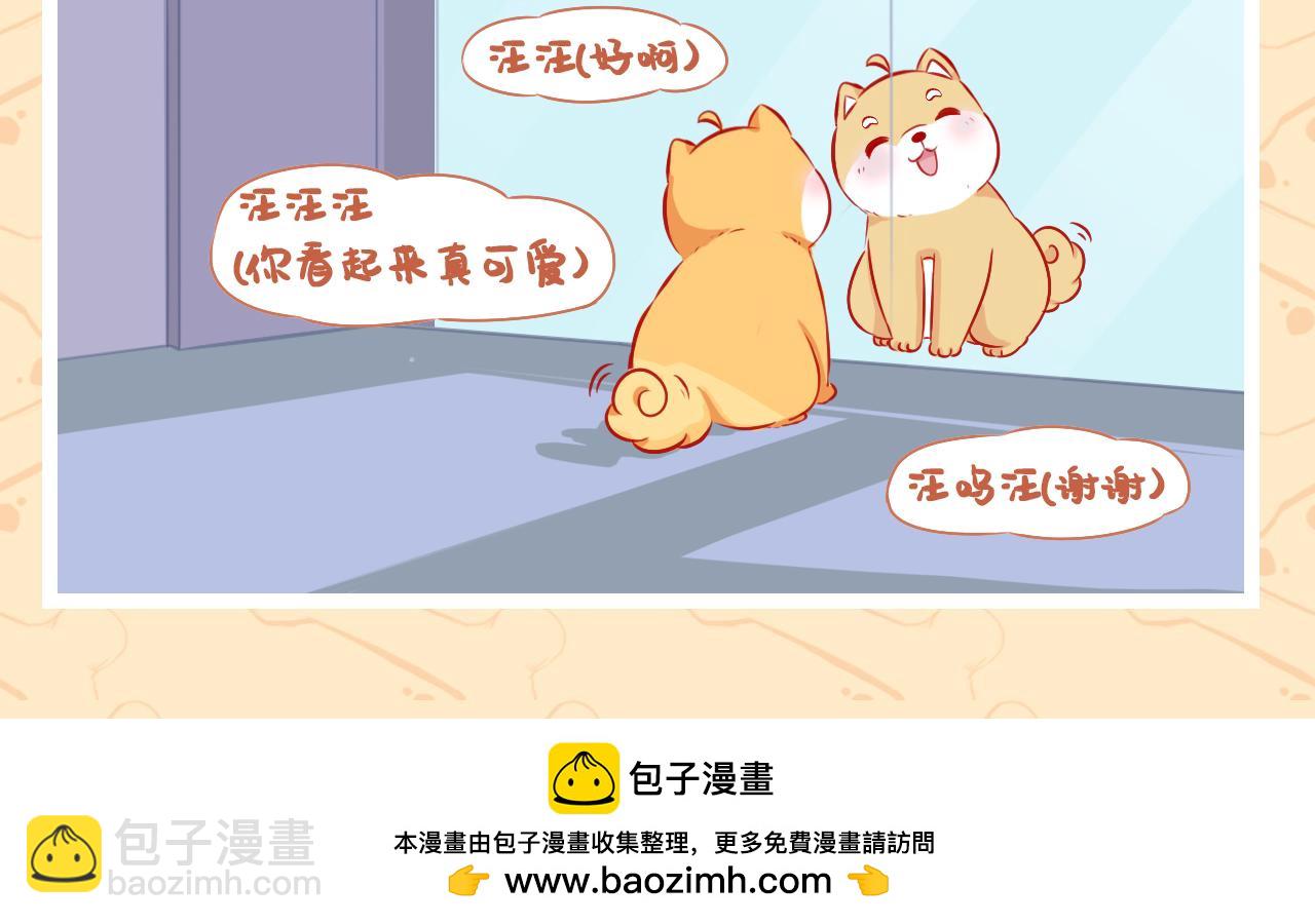 《此处禁止卖萌》第五集--意外频发的一天 第18页