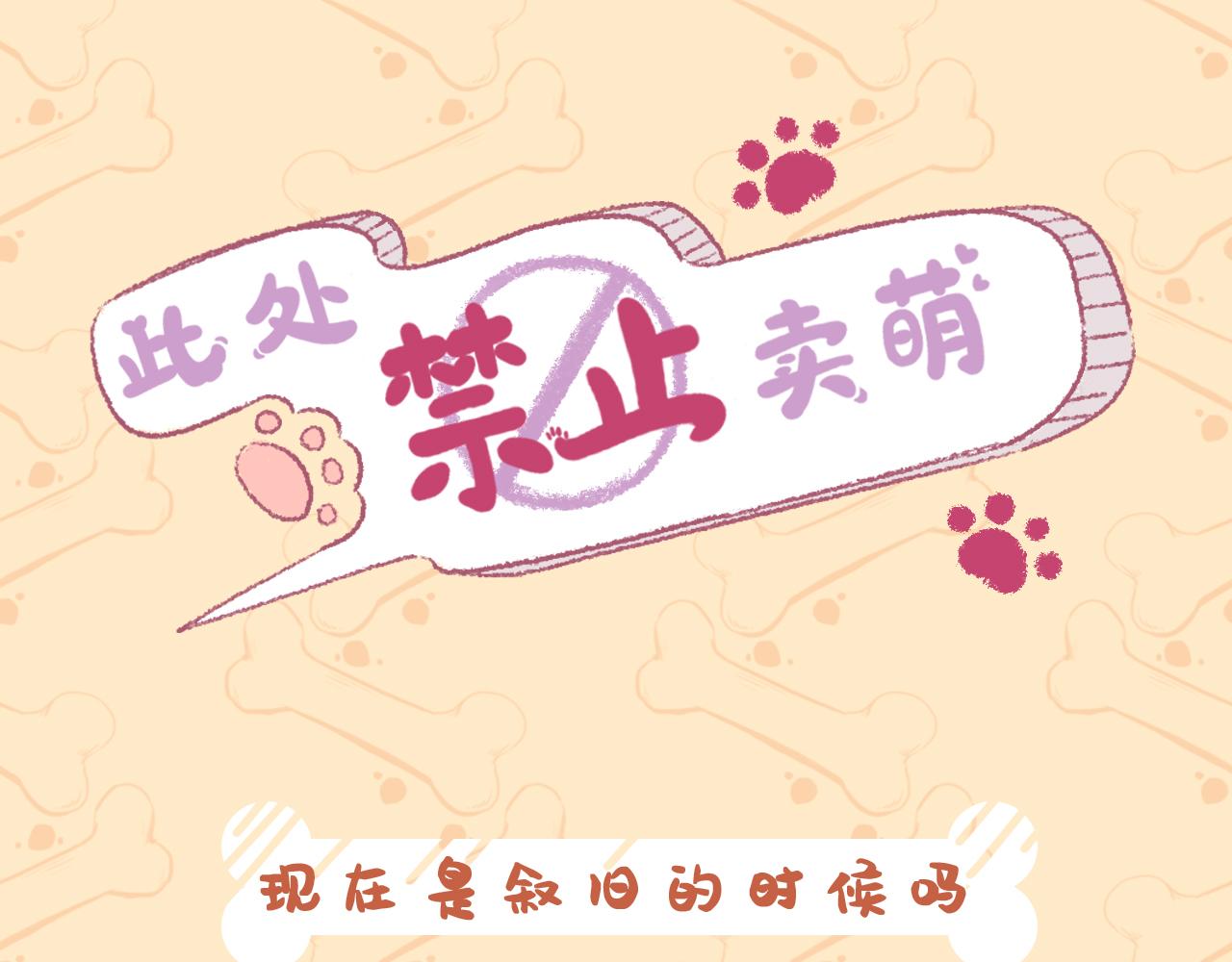 《此处禁止卖萌》第七集——回忆像杯苦咖啡 第1页