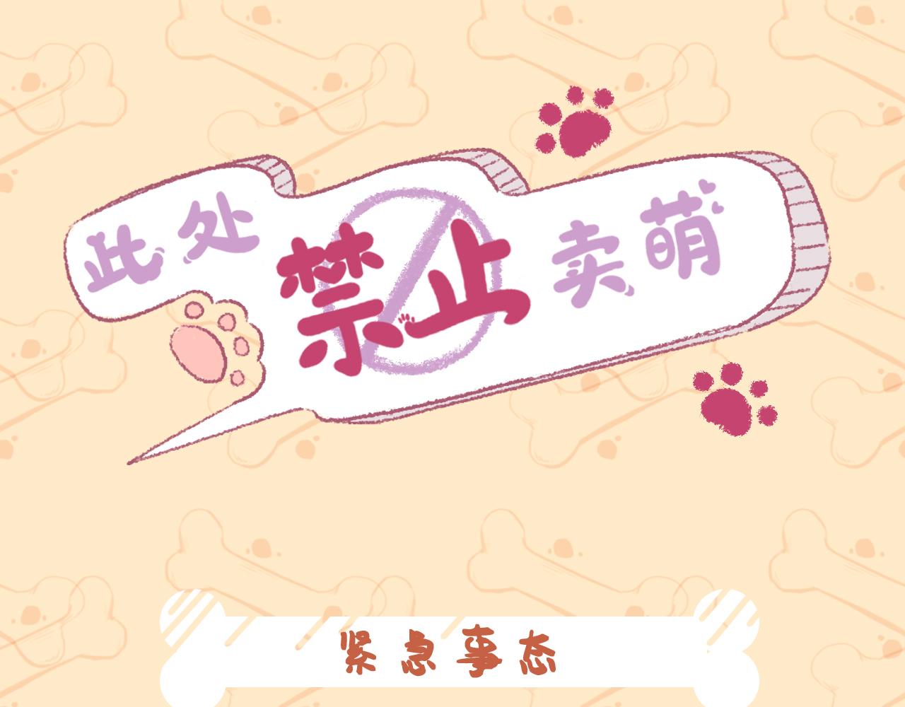 《此处禁止卖萌》第五集--意外频发的一天 第1页