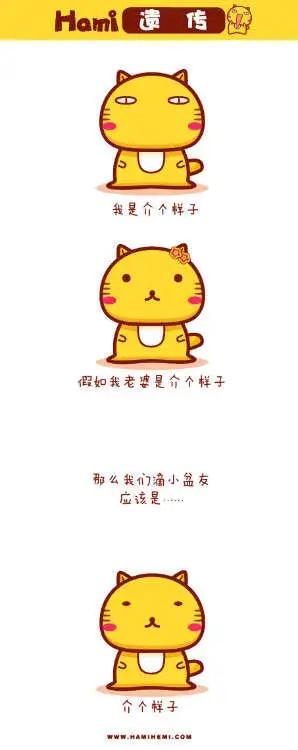 《哈咪猫》第11-20回 第3页