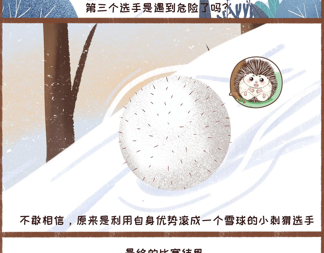 《兔飞日记》比赛精神 第6页