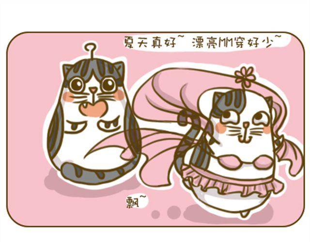 《喵小苗-不萌也一脸血》别碰我的呆毛 第5页