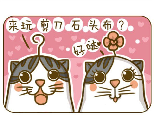 《喵小苗-不萌也一脸血》喵生大事 第1页