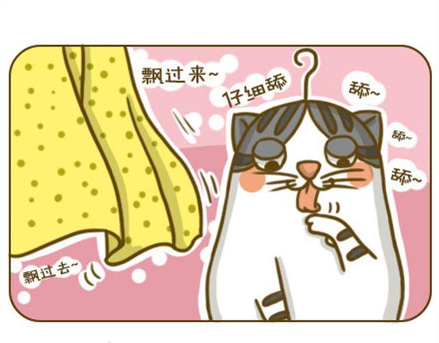 《喵小苗-不萌也一脸血》喵生大事 第5页