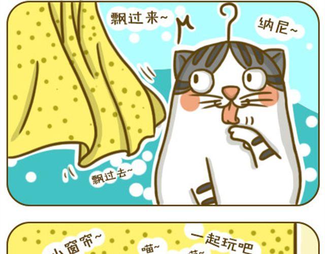 《喵小苗-不萌也一脸血》喵生大事 第6页