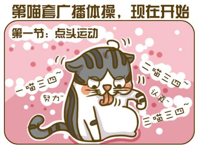 《喵小苗-不萌也一脸血》喵生大事 第9页