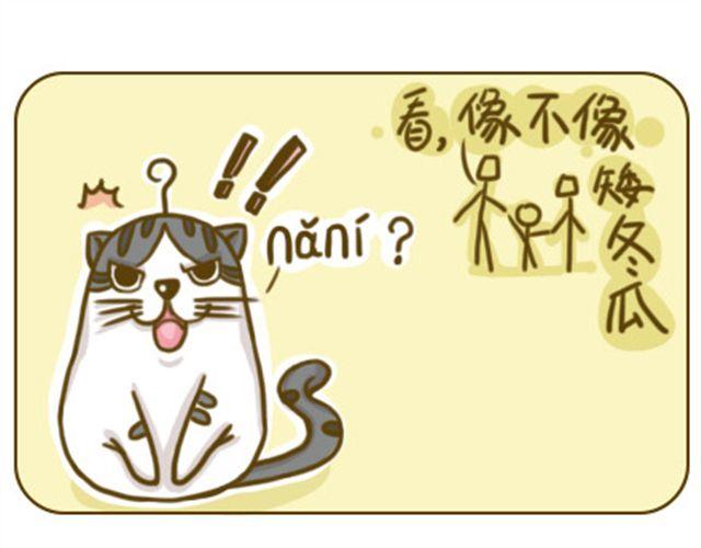 《喵小苗-不萌也一脸血》喵主子的赏赐 第5页