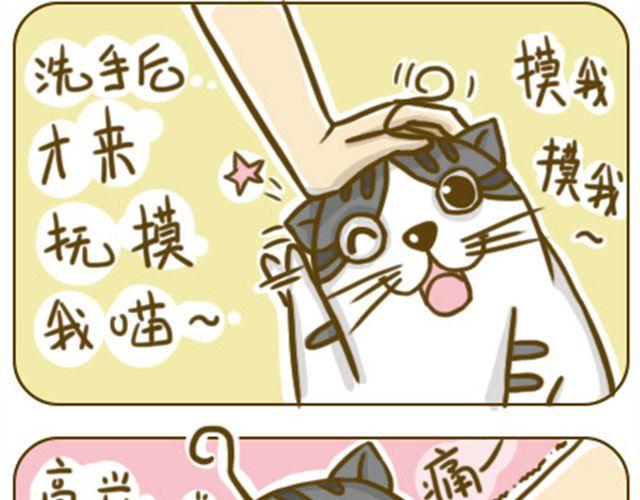 《喵小苗-不萌也一脸血》别碰我的呆毛 第10页