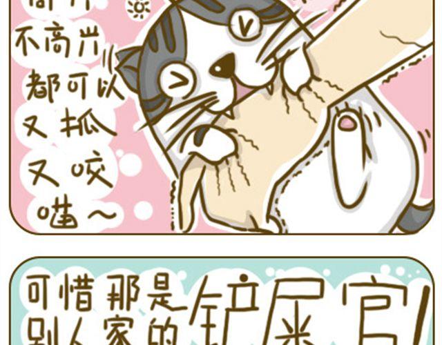 《喵小苗-不萌也一脸血》别碰我的呆毛 第11页