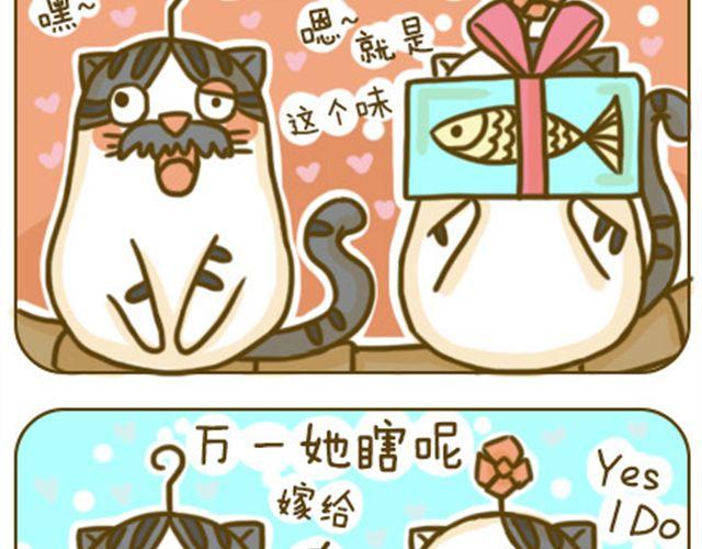 《喵小苗-不萌也一脸血》别碰我的呆毛 第3页