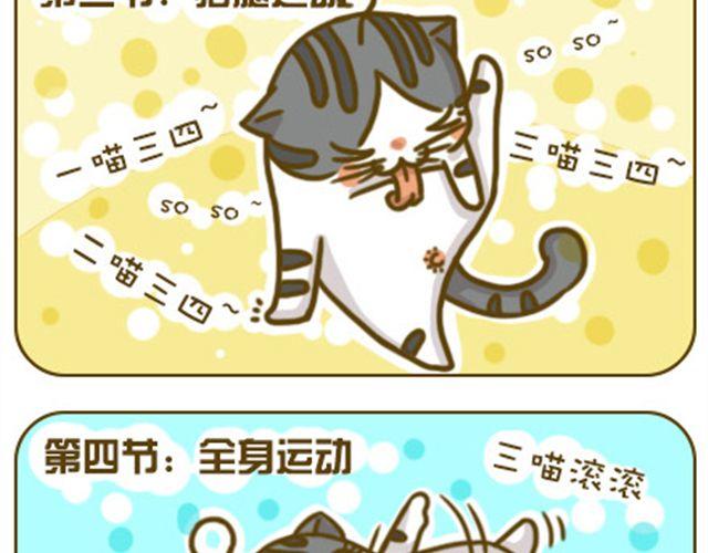 《喵小苗-不萌也一脸血》喵生大事 第11页
