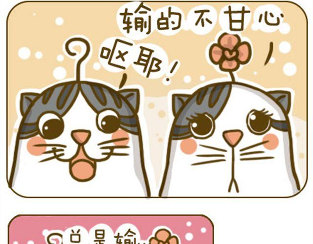 《喵小苗-不萌也一脸血》喵生大事 第2页