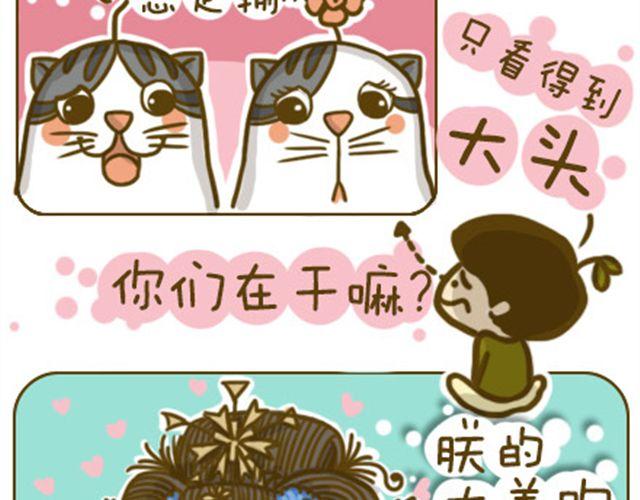 《喵小苗-不萌也一脸血》喵生大事 第3页