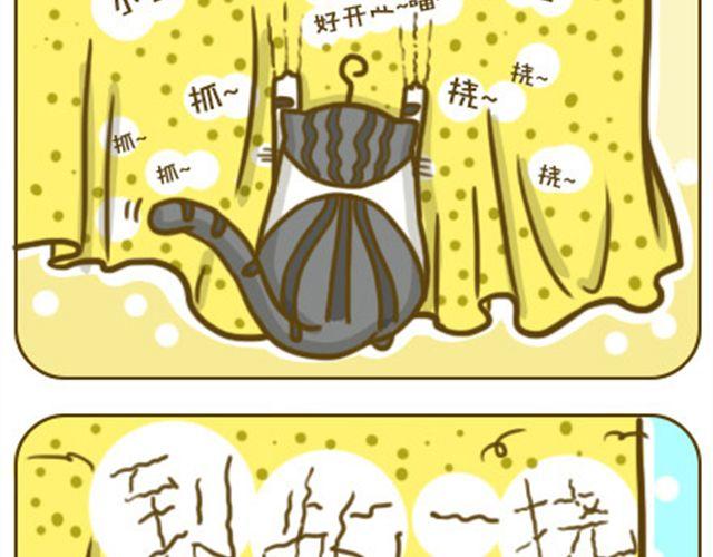 《喵小苗-不萌也一脸血》喵生大事 第7页