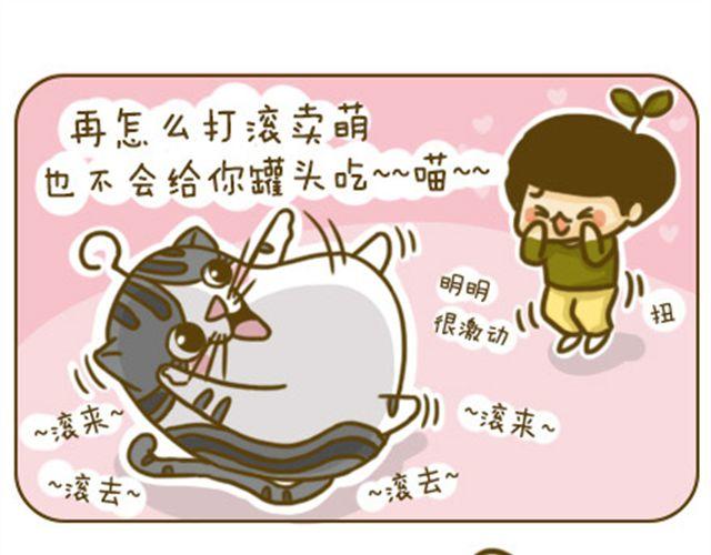 《喵小苗-不萌也一脸血》撒娇 第13页