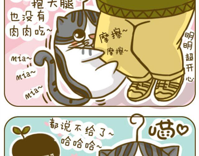 《喵小苗-不萌也一脸血》撒娇 第15页