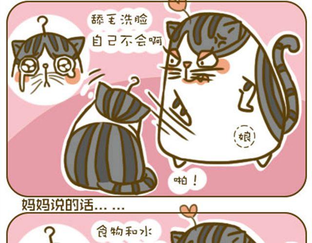 《喵小苗-不萌也一脸血》莫骗我 第6页