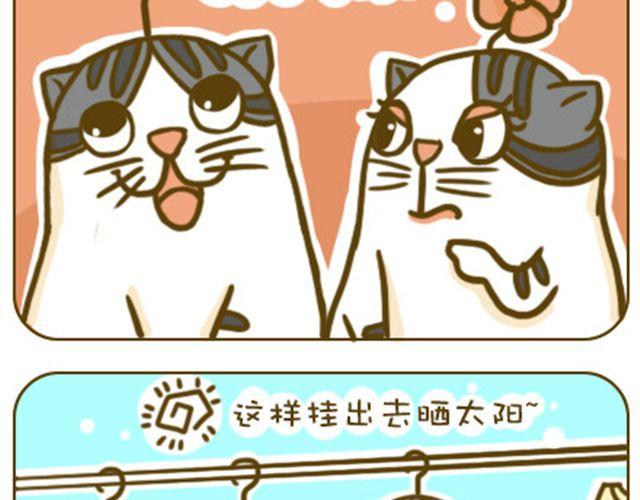 《喵小苗-不萌也一脸血》静静 第7页