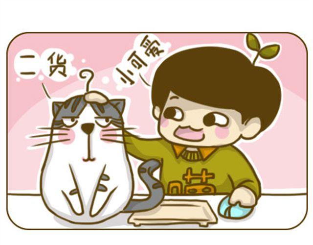 《喵小苗-不萌也一脸血》给点隐私 第1页