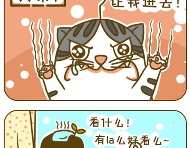 《喵小苗-不萌也一脸血》给点隐私 第7页