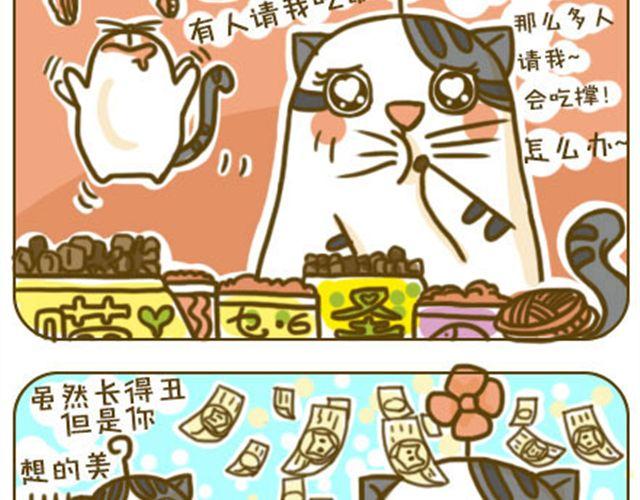 《喵小苗-不萌也一脸血》铲屎君觉得你冷 第11页