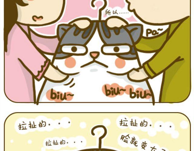 《喵小苗-不萌也一脸血》铲屎君觉得你冷 第15页