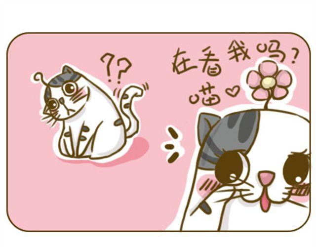《喵小苗-不萌也一脸血》铲屎君觉得你冷 第1页
