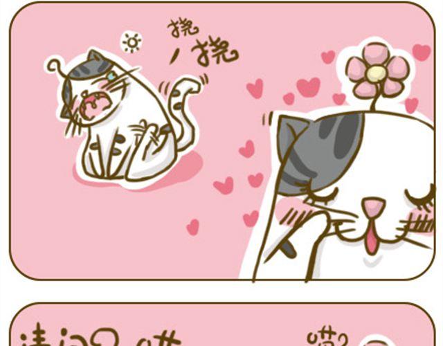 《喵小苗-不萌也一脸血》铲屎君觉得你冷 第2页