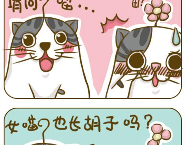 《喵小苗-不萌也一脸血》铲屎君觉得你冷 第3页