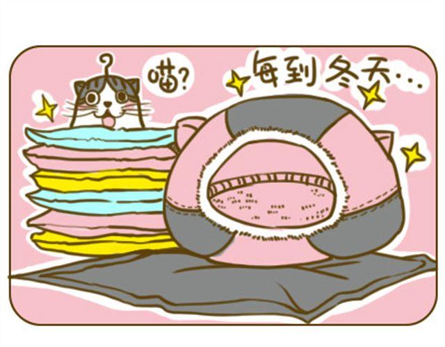 《喵小苗-不萌也一脸血》铲屎君觉得你冷 第5页