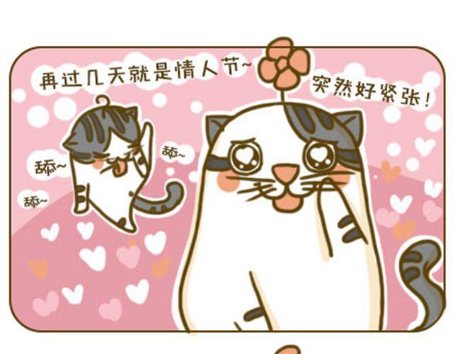 《喵小苗-不萌也一脸血》铲屎君觉得你冷 第9页