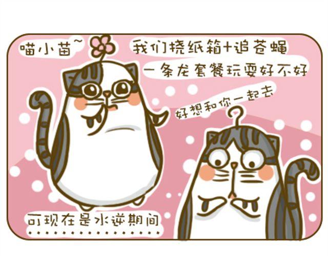 《喵小苗-不萌也一脸血》水逆星人 第9页