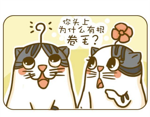《喵小苗-不萌也一脸血》静静 第5页