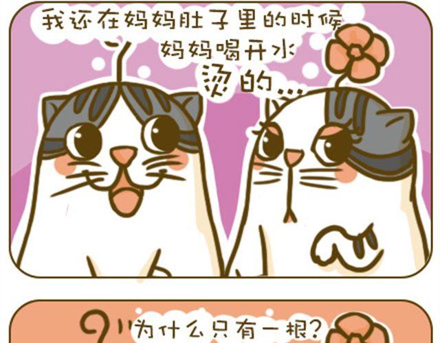 《喵小苗-不萌也一脸血》静静 第6页