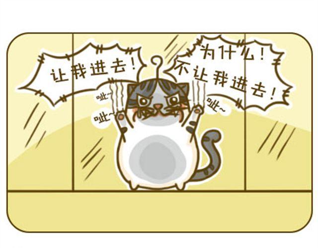 《喵小苗-不萌也一脸血》给点隐私 第5页