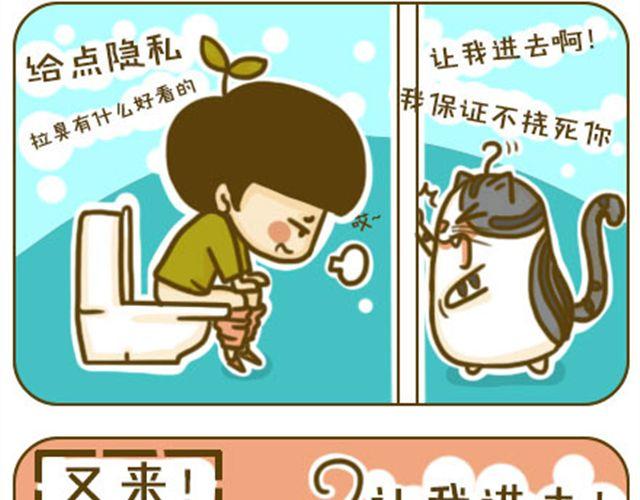 《喵小苗-不萌也一脸血》给点隐私 第6页