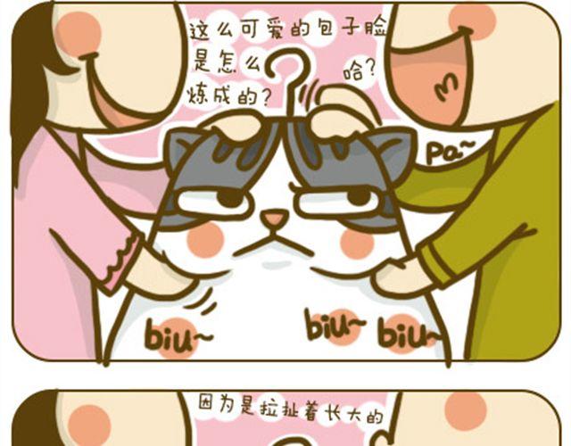 《喵小苗-不萌也一脸血》铲屎君觉得你冷 第14页