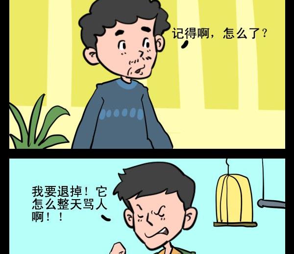 《艺术的脚步》8 鹦鹉 第2页
