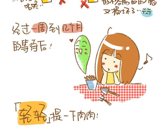 《多肉笔记》第2话 发根篇 第11页